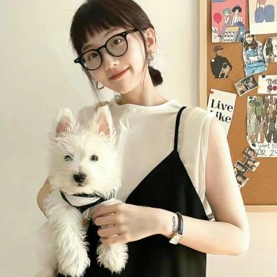 向往的生活老友记