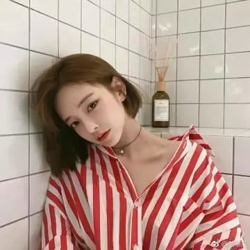 人类之巅
